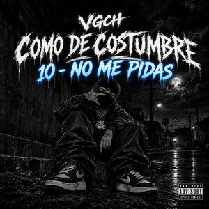 10.- NO ME PIDAS - (COMO DE COSTUMBRE 💿)