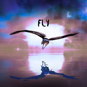 FLY