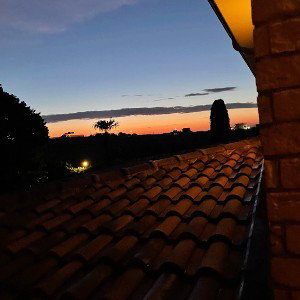 Un dolore un amore un onore