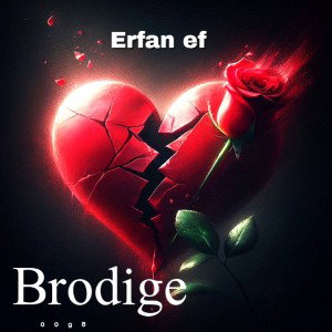 Brodige