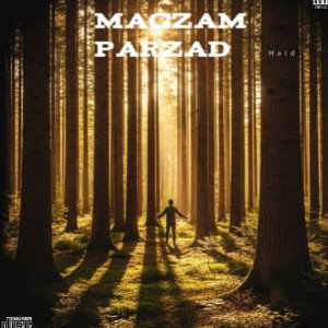 مغزم پر زد 