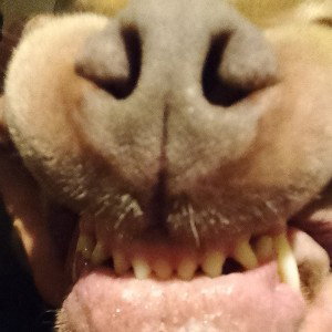 Charles B - aint 2025-11-04 09_06