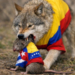 RIP M70  🐀 🚫