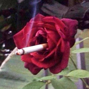ترک آماده شده🔥🌬