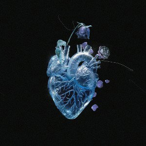 Cuore ghiacciato 