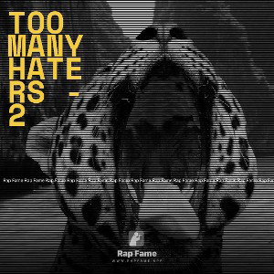 TOO MANY HATERS -  2