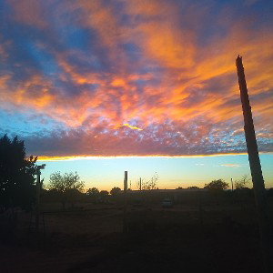Antonio Carroll - If I Die 2025 Antonio Carroll Navajo Artist  _