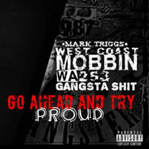 GO AHEAD AND TRY (PROUD)