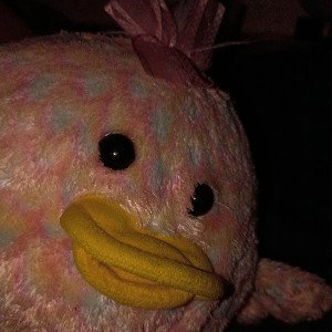 in your nightmares
