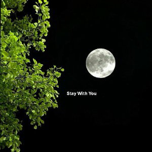 Stay With You 