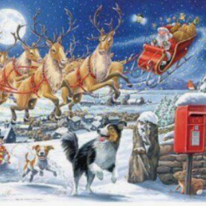 SANTA DONT COME