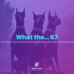 What the… 67