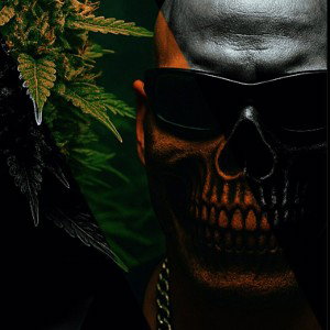 KingKongKush 089_Ich geb dir nen Kick 