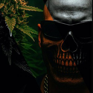 KingKongKush089 feat SieDa - 420 Gedicht