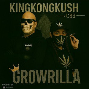 Dschungel Growrilla feat Bavarian kush Queen