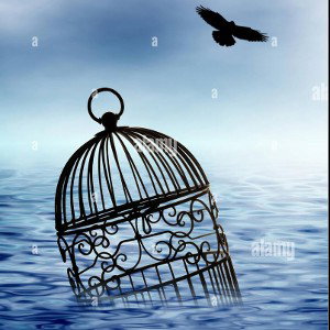 No birds caged! Jimmy Da Jawn