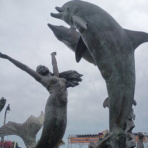 Free Style 