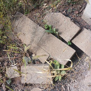 Broken Puzzle 