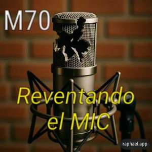 Reventando el MIC