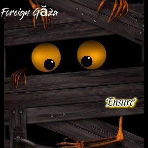 Foreign Găža - Ensure  