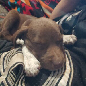 no name