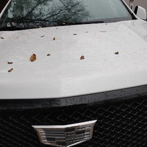 cocaine white Cadillac truck flow