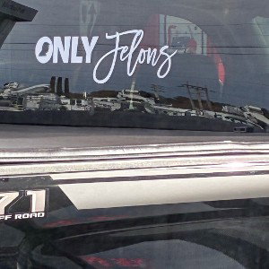only Felons