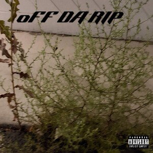 OFF da  RIP !!!! FT) GamaLuvz Playboy Bluudy Rose