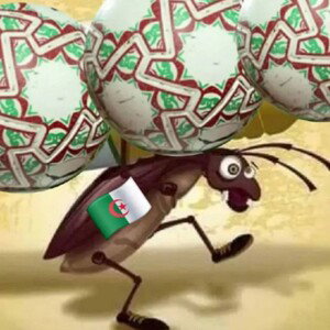 سراق الكواري