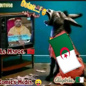 viv maroc