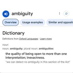 AMBIGUITY