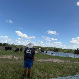 some shit you can vibe with 