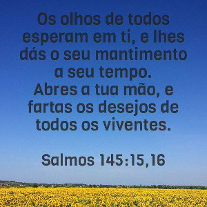 foi em um dia como esse que eu te conhece e que tudo mudou e fui mas feliz voce e de mais despertou atenção com cafuné e