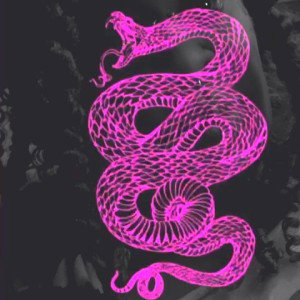 Royaltea423 - Burning Bridges 