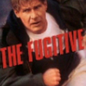 The Fugitive 🕳️🦾🏃🚣🏊🔪🚔⛵✈️🛩️🗽🗼⛩️🌐🗾🎬💻💵💳🔦🛏️🪒🧤🧢🎒🕶️🧪💉🩺🩻🧬📡📙⛏️q1