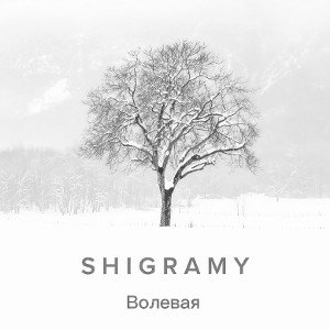 Shigramy - Волевая
