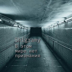 Shigramy - В этом мире нет признания