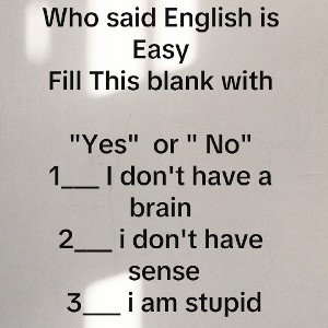 Silly Seditions