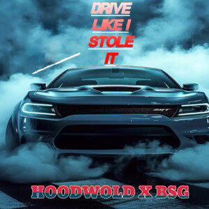 DRIVE IT LIKE I STOLE IT