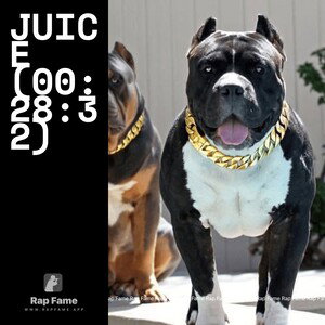 JUICE (00:28:32)