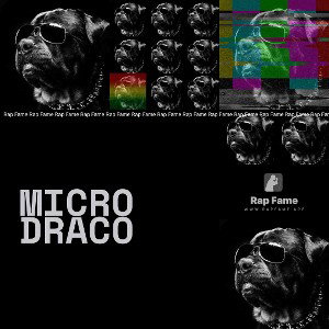 Micro Draco 