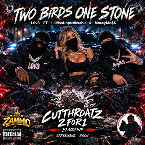 Two Birds One Stone