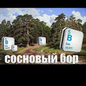 шалаш