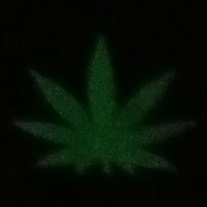 Bak2weed