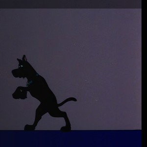 Scooby flex