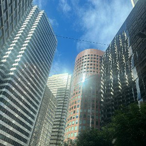 moneytowers