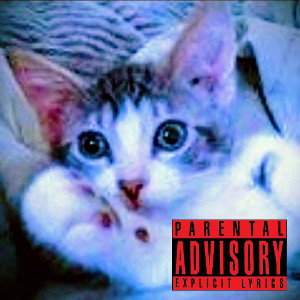 meow0w0w0w ☁️ 🐈‍⬛ 