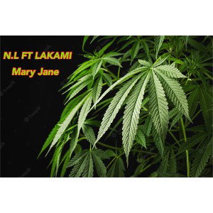 N.L ft LAKAMI Mary Jane 