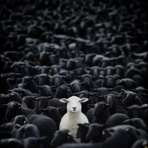 outcast 
