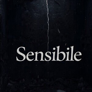 Sens1b1l3 